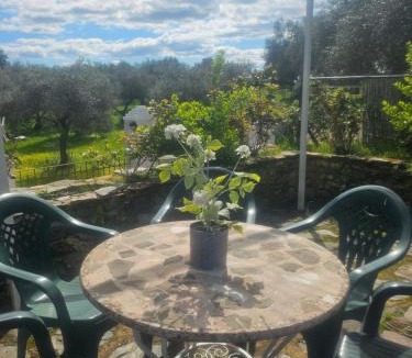 Aracena House | Finca el Berezal