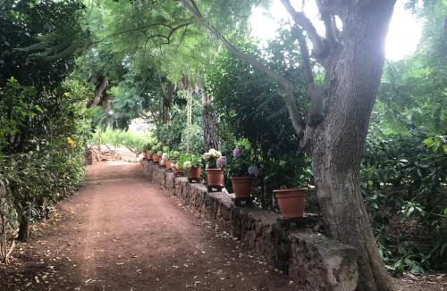 Tegueste House | Finca El Vergel Rural