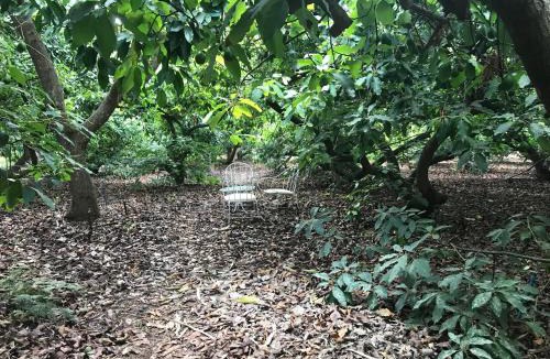 Tegueste House | Finca El Vergel Rural