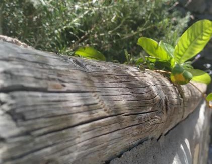 Valle Gran Rey House | Finca La Ladera