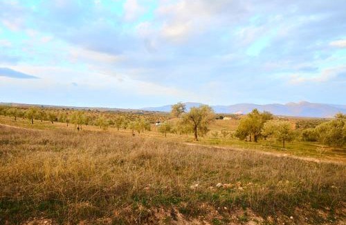 Salar Hotel | Finca las Calmas Adults Only Boutique Retreat & Dining Experience