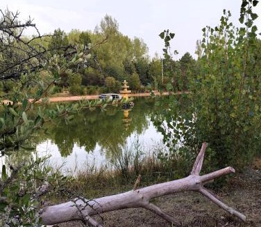 El Burgo de Osma House | Finca Paraíso Rural