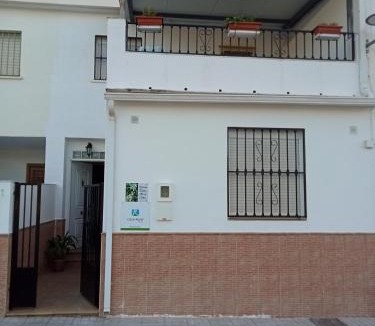 Puente De Genave House | Flor de Olivo