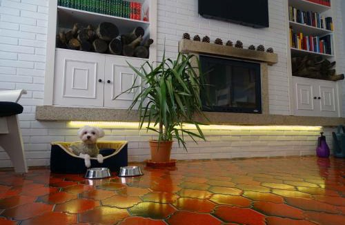 San Juan Apartment | FocoLare