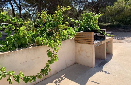 Sant Francesc Xavier Apartment | Formenteranatural. Rural apartment 2 km from Sant Francesc.
