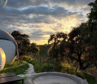 Campanillas Other | Glamping Burbuja Los Almendros