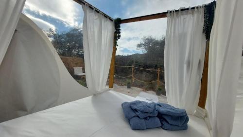Campanillas Other | Glamping Burbuja Los Almendros