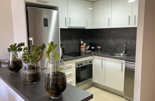 Puerto Marino Apartment | Gran Alacant Ocarrol Rent