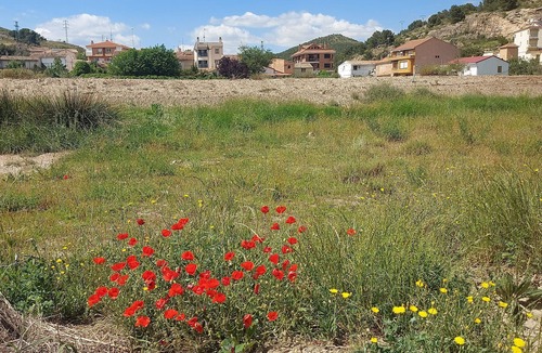 Cervera del Rio Alhama House | Guest house with 6 rooms with private bathrooms, towels, bed linen, TV,