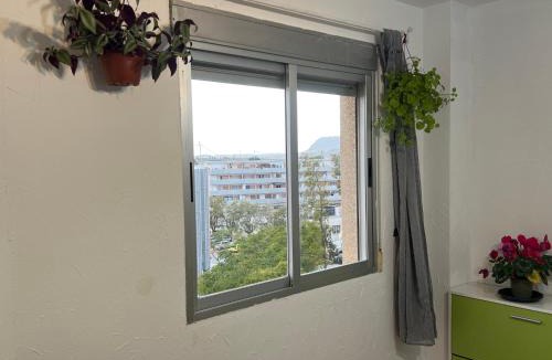 San Vicente del Raspeig Apartment | Habitación en San Vicente del Raspeig Alicante