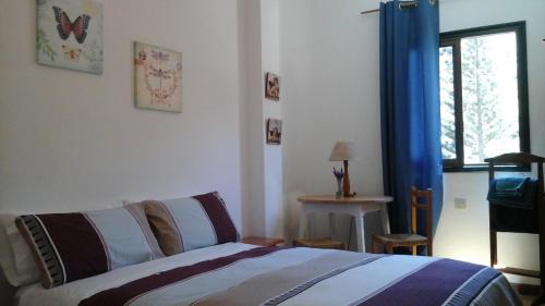 Vallehermoso House | Hostal Casa Amaya
