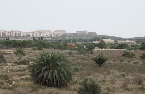 El Altet House | Hostal Meseguer