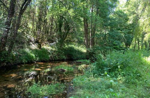 Sant Sadurni d'Osormort House | Hostal Rural Can Enric