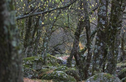 Cuacos de Yuste Hostel | Hostel El Lago, Caceres