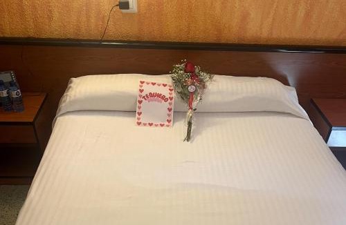 Calella Hotel | HOTEL CONTINENTAL