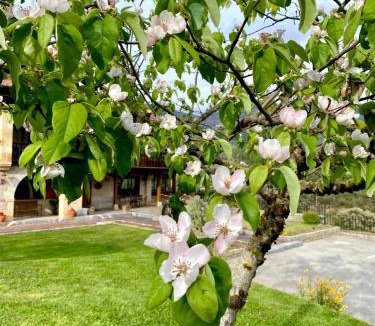 Frama Hotel | Hotel Finca Malvasia - Adults only