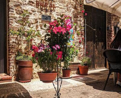 Chillon Hotel | HOTEL RURAL TOCAMPAVI