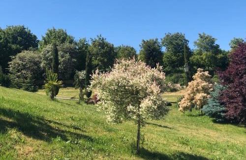 Villafranca Montes de Oca Hotel | Hotel San Antón Abad