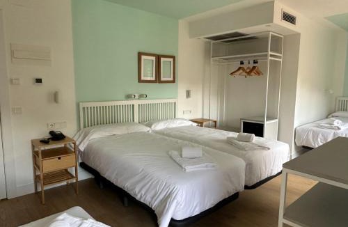 Cangas de Onis Hotel | Hotel Virgen de Covadonga