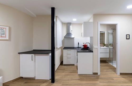 Old Town Apartment | Housing León- Azabachería 1B