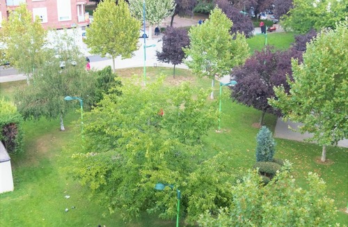 Leon Apartment | Housingleon - new duplex with garage 500 meters from the historic center