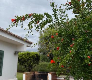 Plamanyola House | Ideal house for two families with pool and barbecue