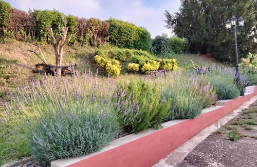 Arenzana de Abajo House | Ideal place to disconnect from the city, rest and have fun