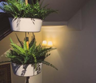 Hervas Apartment | La Antigua Fonda