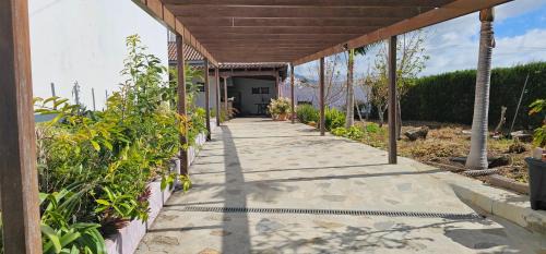 Los Llanos de Aridane House | La Barbacoa
