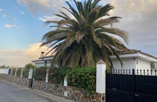 Province of Toledo House | La Casa de la Palmera Toledo