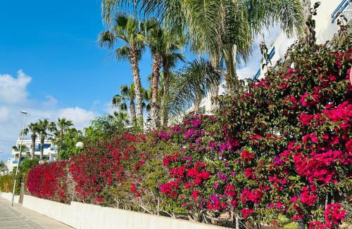 Flamenca Beach Apartment | La Casa Loco Contigo - La Calma - Orihuela Costa