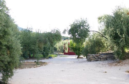 Bedmar y Garciez House | La Casería Azul de Cuadros