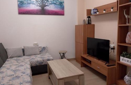 Elche House | La casita de colores