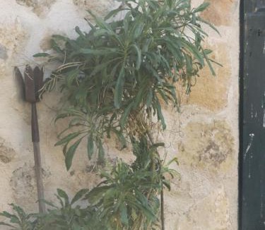 Turegano House | La Fragua de los Alvaro
