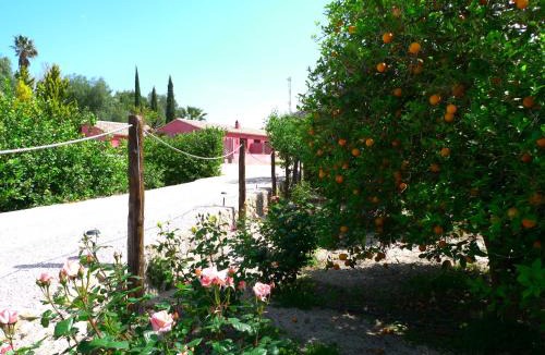 Villanueva Del Rio Segura Apartment | La Joya del Valle de Ricote