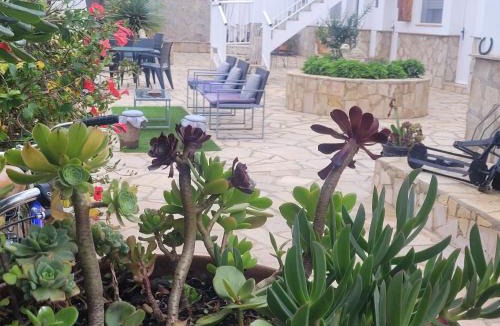 Poble Nou del Delta House | La Llar de Laura