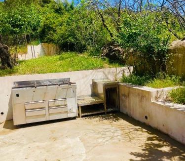 Aracena House | La mimosa