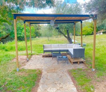 Aracena House | La mimosa
