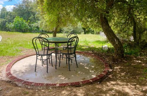 Aracena House | La mimosa