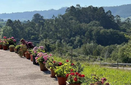 Noriega House | La Pereda Rural House