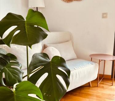 Viana House | La Puerta de Viana, con desayuno, piscina y posibilidad Visita a bodega!