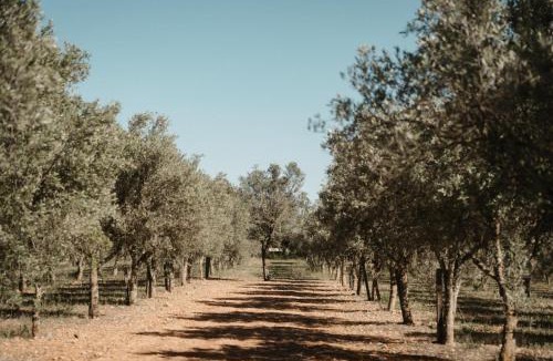 Binissalem Hotel | Landhotel Can Davero