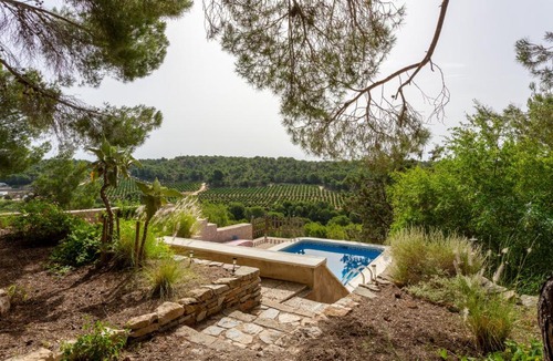 Pinar de Campoverde Villa | Las Pedrizas
