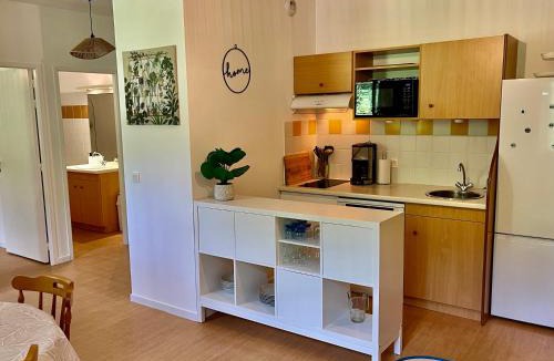 Aulus-les-Bains Apartment | Le Valier, T2 résidence Grand Hôtel - Appt 308 - Aulus-les-bains