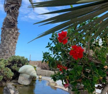 Arenas del Mar Apartment | Little Paradise in El Médano 2