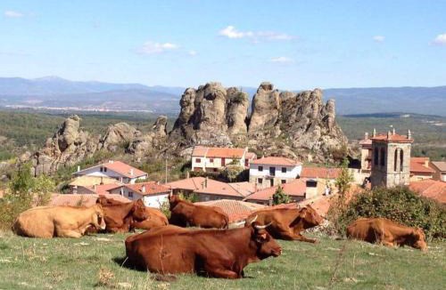 Pinilla de los Barruecos House | Los Barruecos