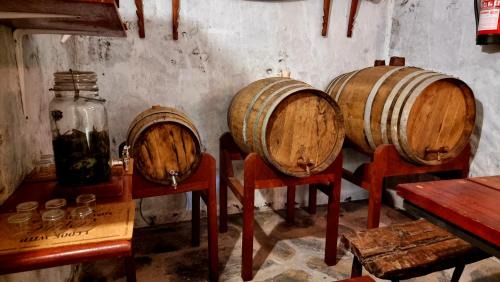 Los Sauces House | Los Nacientes Vega