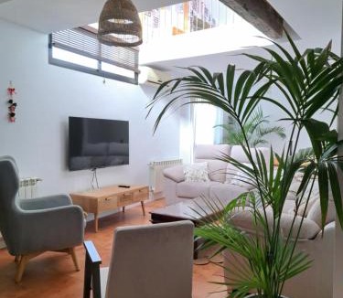 Plasencia Apartment | Los Patios AT-CC-00962