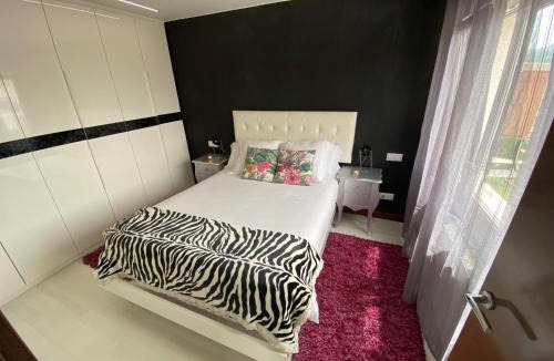 Laredo Apartment | Los Respigos Laredo