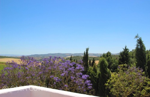 Conil de la Frontera House | luxurious villa in quiet surrounding for 6 guests with large pool and precious terraces and nice bbq-area and seaview in the distance